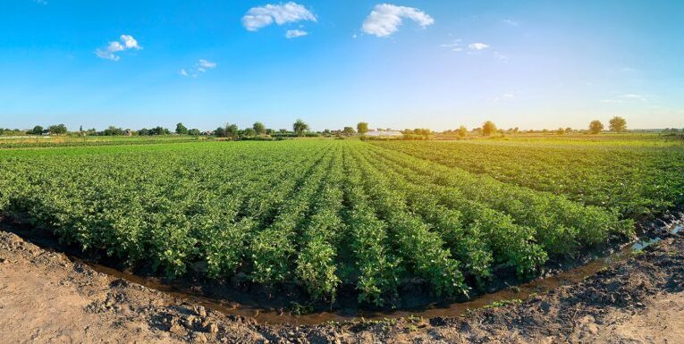 BBVA otorga a Montana S.A. la certificación de factoring vinculada a la sostenibilidad y fortalece su compromiso con la agroindustria