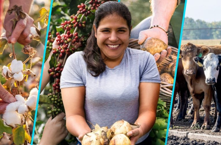 Financiera Confianza lanza financiamiento verde para pymes