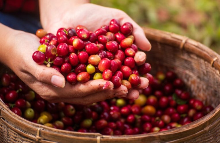 descubre cómo se produce y cuál es su impacto