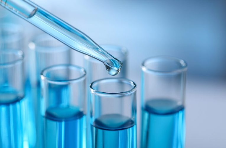 Innovar, prevenir y liderar con impacto: el modelo de Hipra