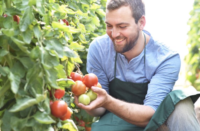 Apoyo al negocio hortofrutícola en Fruit Attraction, feria internacional de referencia para el sector