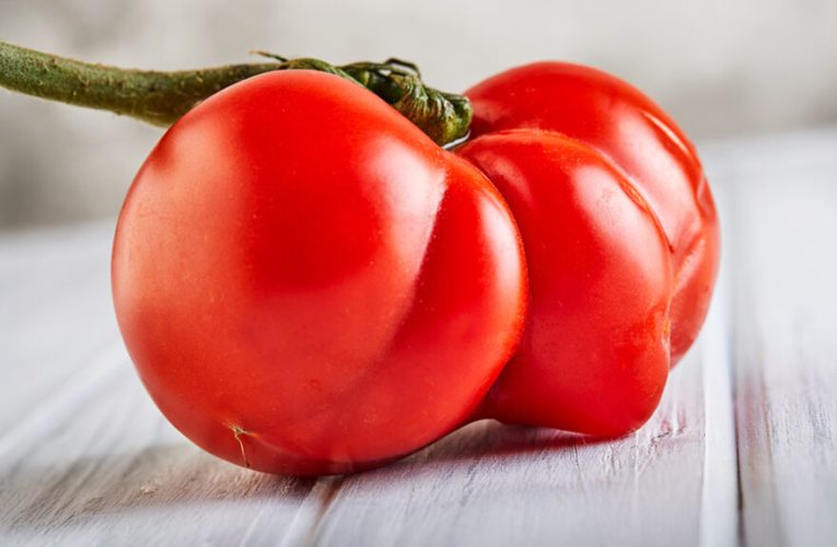 cómo reducir el desperdicio alimentario desde su origen