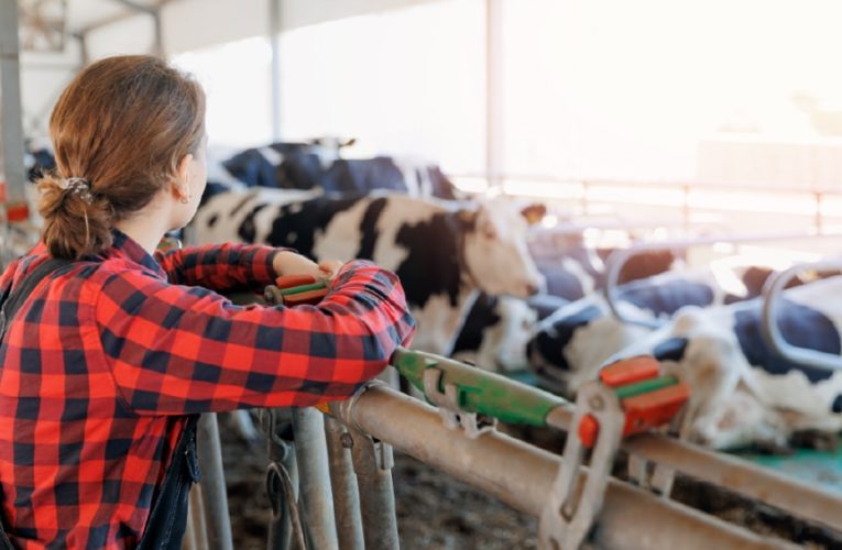 BBVA apuesta por el relevo generacional del sector agro en España