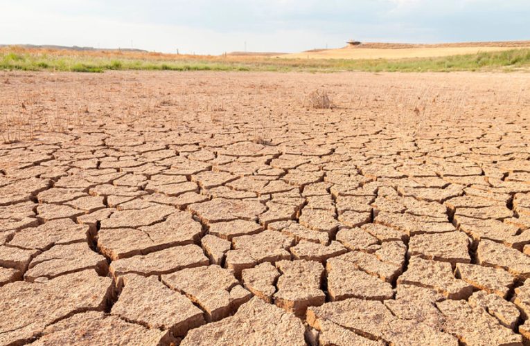 causas y consecuencias de la sequía