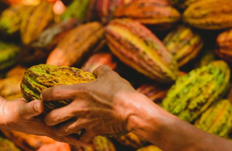 la agricultura orgánica que conquista el mundo