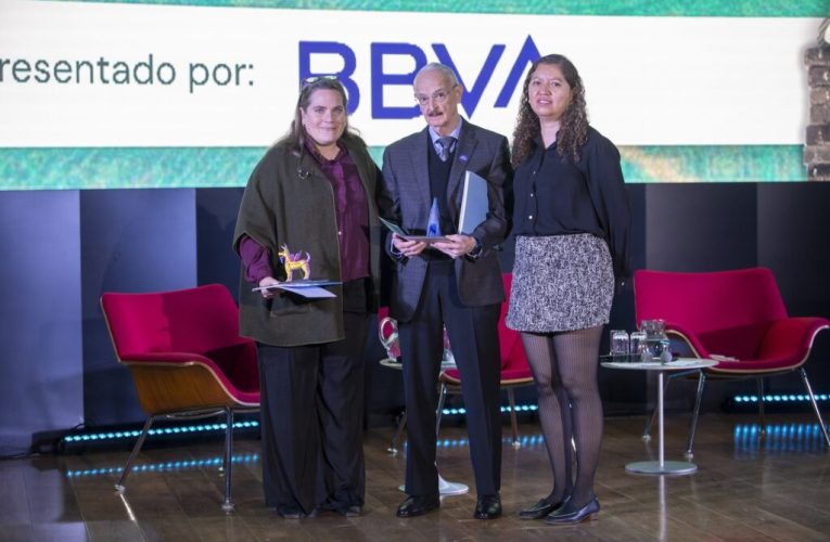 El impacto social y económico de las remesas en los hogares mexicanos