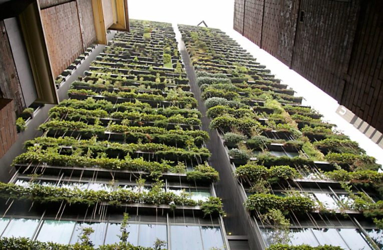 Certificación EDGE: un paso clave para construcciones más sostenibles