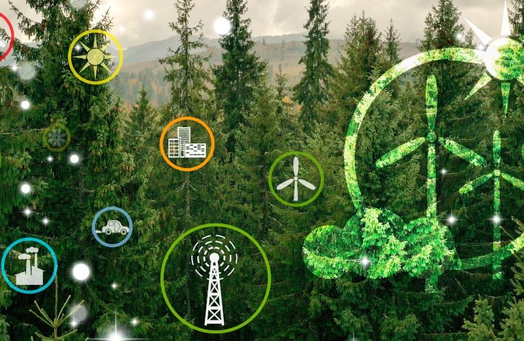 Renovación de la alianza con la Fundación Biodiversidad para facilitar la financiación de proyectos vinculados con el desarrollo sostenible