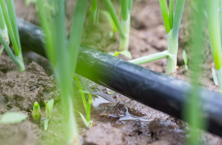 Huella hídrica y huella de agua: ¿en qué se diferencian?