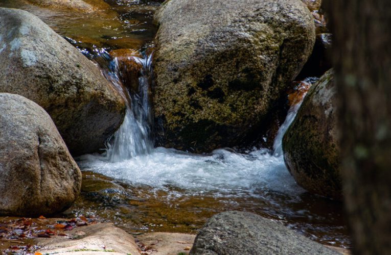 ¿qué son y cómo pueden transformar la gestión del agua?