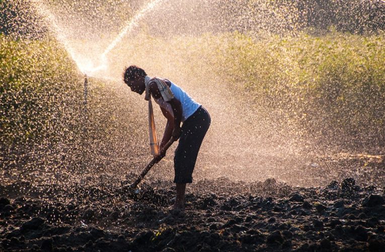 Cómo las infraestructuras sostenibles mejoran la vida en zonas rurales