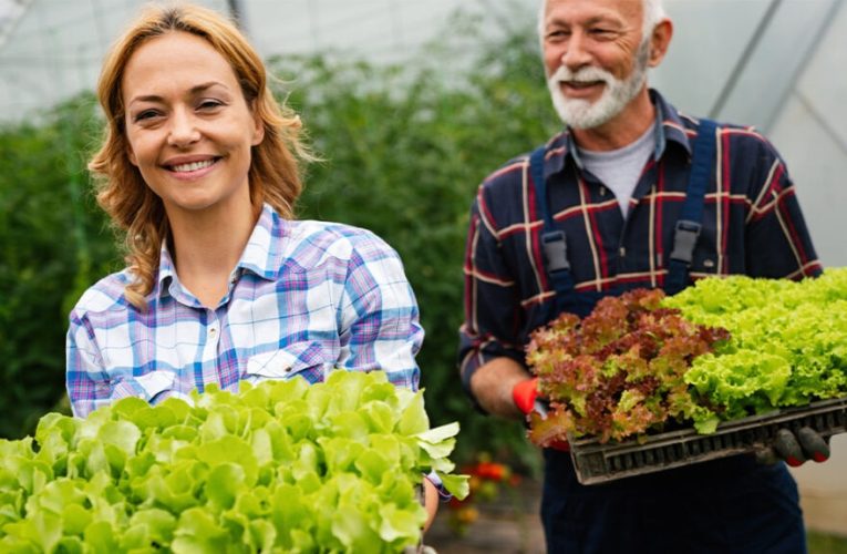 ¿Sabes lo que hay detrás de la fruta y la verdura que comes?