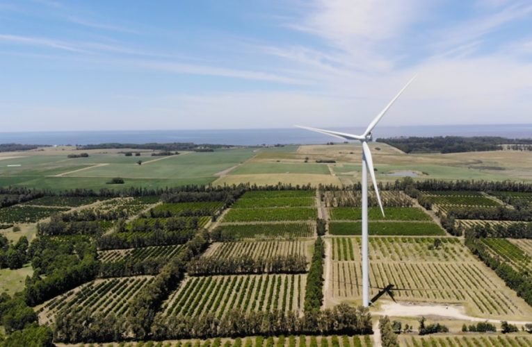 BBVA consolida su área Corporate & Investment Banking en Uruguay con una operación clave en energías renovables
