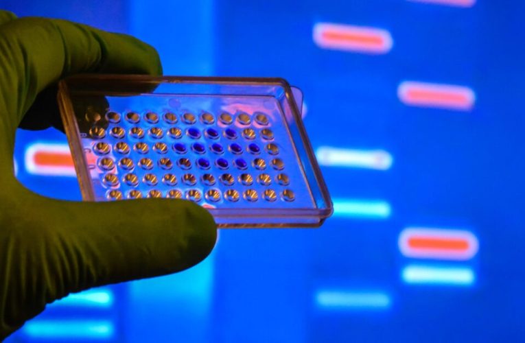 avances médicos y soluciones para el medioambiente
