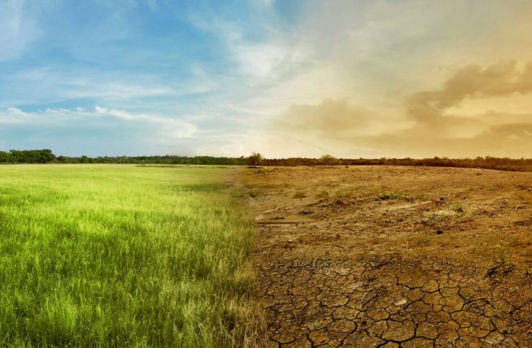 Calentamiento global: definición y causas principales