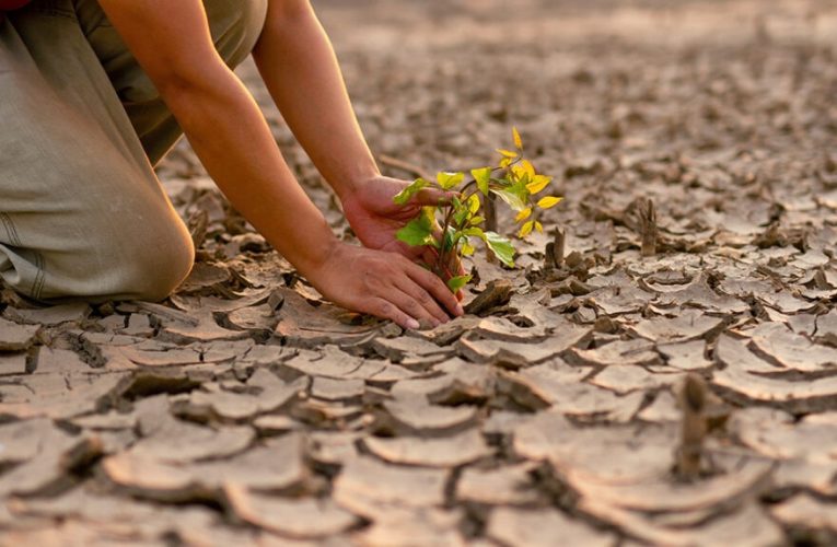 La adaptación climática como oportunidad de inversión