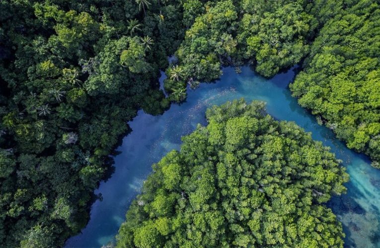 Mujeres científicas en la lucha contra el cambio climático