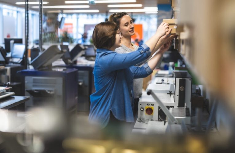 Políticas públicas para mejorar la calidad del empleo