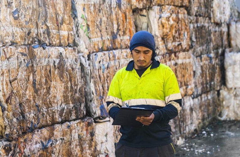 ¿Qué oportunidades laborales ofrecen los empleos verdes?