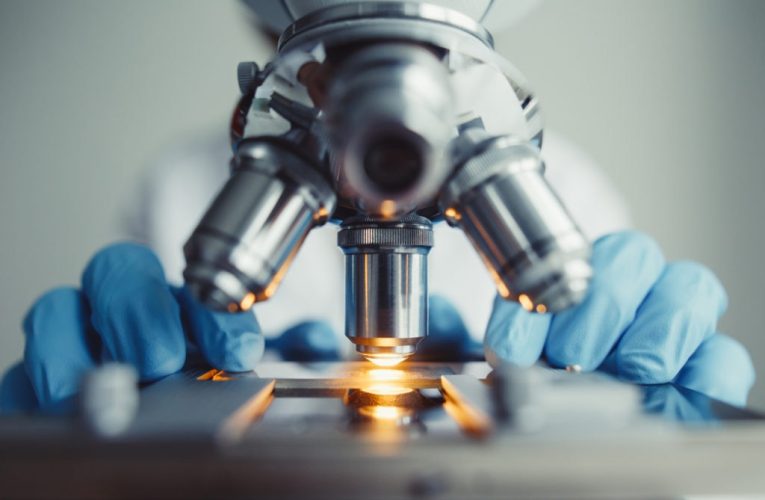 Premio Fronteras a los científicos que han revolucionado el tratamiento de varios tipos de cáncer de sangre