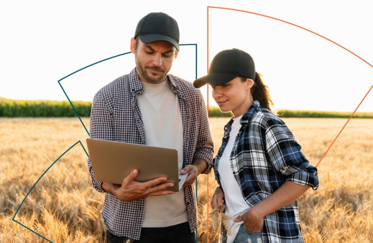 Impulso al sector agrario con 1.000 millones en financiación preconcedida para PAC y cultivos intensivos