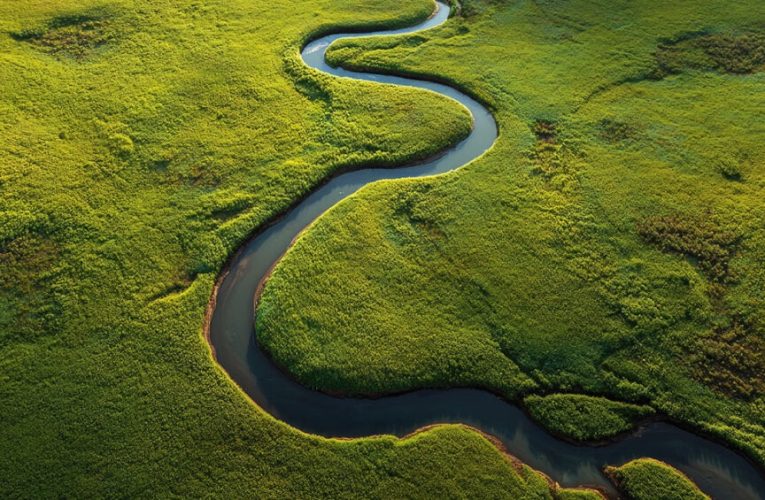 Soluciones basadas en la naturaleza para reducir el consumo de agua