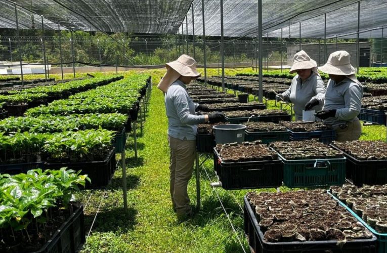 Más de 10.800 familias, miles de pymes y productores colombianos se beneficiaron de créditos sostenibles de BBVA