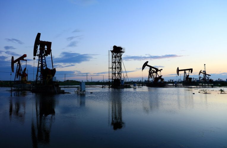 cuál es el origen, la historia y el impacto en el medioambiente