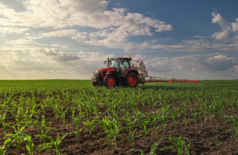 El acuerdo UE-Mercosur impulsa al agro como nuevo puente económico transatlántico
