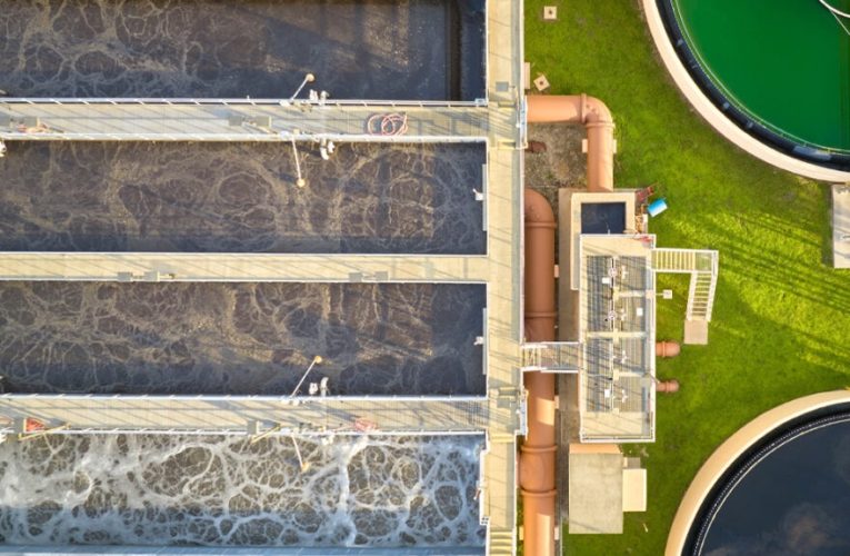 ¿Cómo podemos devolver a la naturaleza el agua que consumimos?