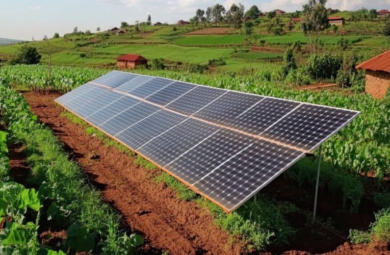 BBVA posiciona al sector agro como motor estratégico de su negocio de empresas en América Latin