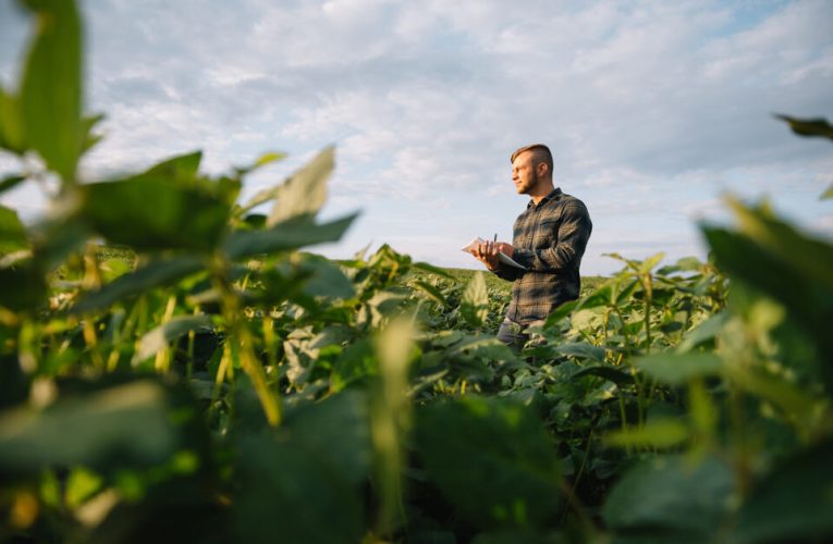 BBVA Agro Advisor fue reconocida en ‘The Innovators 2026’ de Global Finance