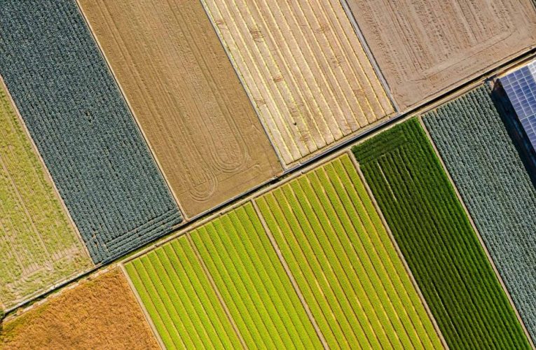 ¿Qué es la sobrecapacidad del planeta? Los recursos no son infinitos