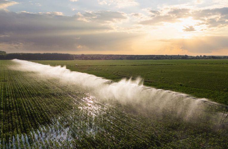 Podcast | BBVA calcula su huella hídrica: el impacto del agua invisible
