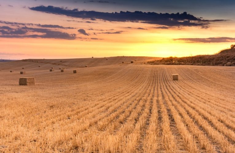 ASAJA Málaga reúne en su asamblea general a agricultores y ganaderos para analizar la situación del campo y retos futuros del sector