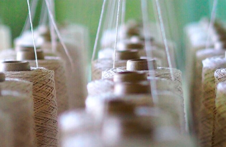 Guía de fibras textiles: cuáles son y cuáles son más sostenibles