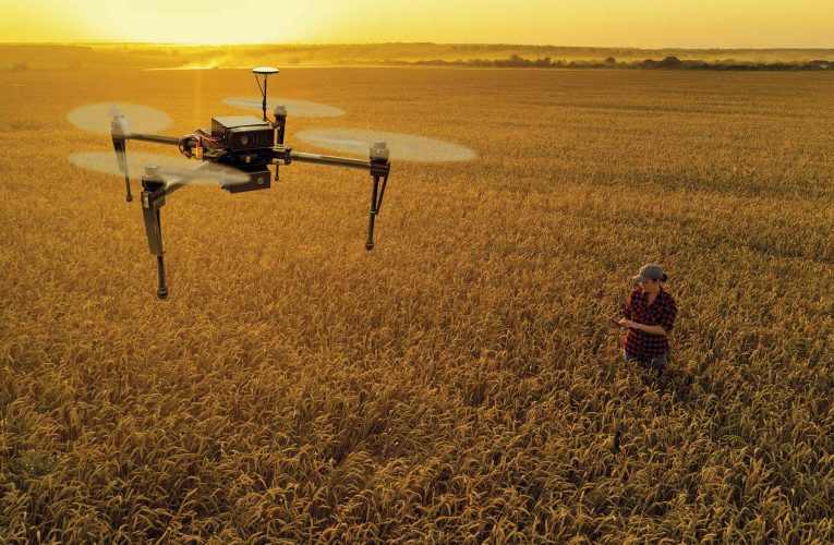 Drones en la agricultura de precisión: qué son y ventajas de su uso